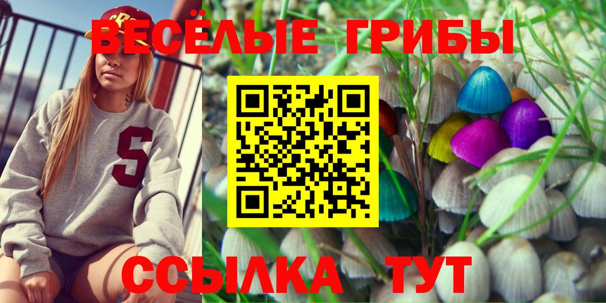 Ялта  Галлюциногенные грибы MAGIC MUSHROOMS  Галлюциногенные грибы Psilocybine cubensis  Вход с VPN 
